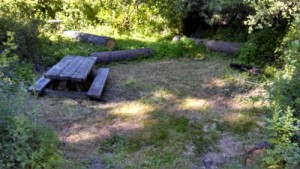 Hause Creek Campground Site 31