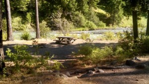 Hause Creek Campground Site 20