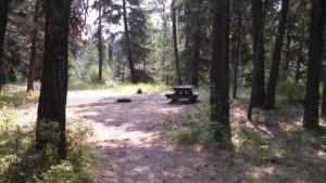 Hause Creek Campground Site 34